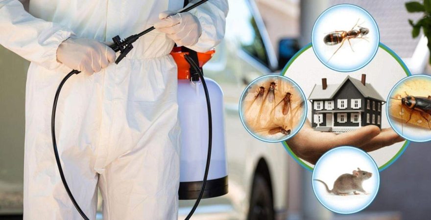 Kozlu Böcek İlaçlama