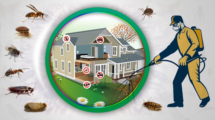 Kozlu Böcek İlaçlama