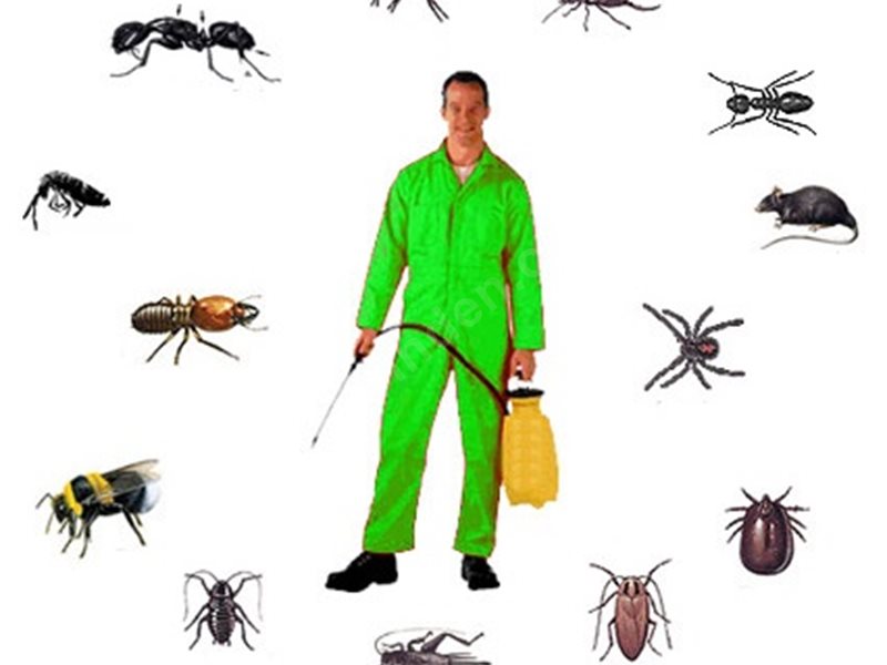 Kozlu Böcek İlaçlama